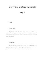 CÁC VIÊM NHIỄM CỦA MI MẮT (Kỳ 3) pot