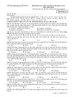 Đề thi thử đại học lần 2, Thuận Thành 1, BN