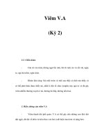 Viêm V.A (Kỳ 2) pot