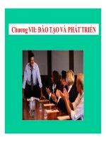 Chương 7- Đào tạo và phát triển