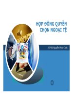 Thuyết trình hợp đồng quyền chọn ngoại tệ