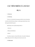 CÁC VIÊM NHIỄM CỦA MI MẮT (Kỳ 1) doc