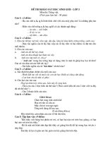 Đề chọn HSG lớp 5 - Toán