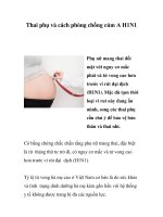 Thai phụ và cách phòng chống cúm A H1N1 pot
