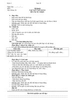 Khối 4_tuần 30_Mới