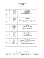 TUẦN 29 LỚP 4 CKTKN