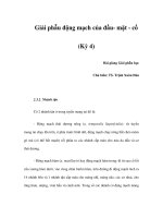 Giải phẫu động mạch của đầu- mặt - cổ (Kỳ 4) pdf