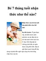 Bé 7 tháng tuổi nhận thức như thế nào? pdf