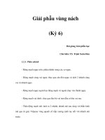 Giải phẫu vùng nách (Kỳ 6) potx