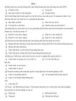 đề thi trắc nghiệm môn kinh tế vĩ mô - đề số 8