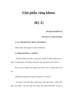 Giải phẫu vùng khoeo (Kỳ 2) pot