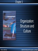 chương 3  tổ chức  cơ cấu và văn hóa