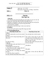 Tuần 27 lớp 1 cả ngày  CKTKN