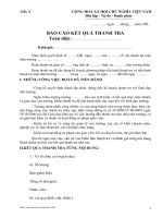 Mẫu 5: Báo cáo kết quả thanh tra