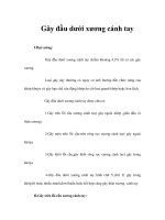 Gãy đầu dưới xương cánh tay ppt