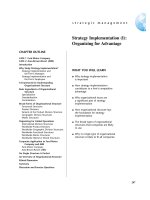 Strategy Implementation (I): Organizing for Advantage pdf