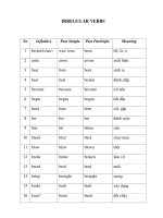 Trắc nghiệm Tiếng anh lớp 11 - IRREGULAR VERBS potx