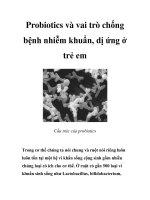 Probiotics và vai trò chống bệnh nhiễm khuẩn, dị ứng ở trẻ em potx