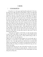 đề tài nghiên cứu tiếng anh