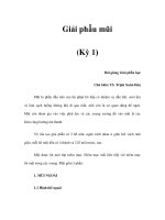 Giải phẫu mũi (Kỳ 1) docx