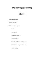 Đại cương gãy xương (Kỳ 1) pps