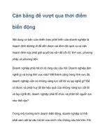 Cân bằng để vượt qua thời điểm biến động docx