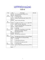 ga lóp 4 CKTKN tuần 29