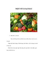 MỘT SỐ LOẠI RAU pdf
