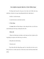 TẮC ĐỘNG MẠCH TRUNG TÂM VÕNG docx