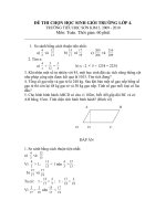 Đề chọn học sinh giỏi trường lớp 4