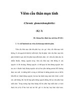 Viêm cầu thân mạn tính (Chronic glomerulonephritis) (Kỳ 3) pps