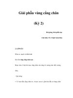 Giải phẫu vùng cẳng chân (Kỳ 2) doc