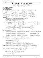 Đề cương ôn tập HK II 2010