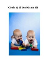 Chuẩn bị để đón bé sinh đôi pot