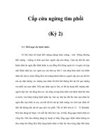 Cấp cứu ngừng tim phổi (Kỳ 2) docx
