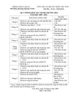 Quy trình kiểm tra nội bộ 2009 - 2010