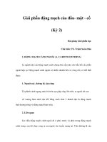 Giải phẫu động mạch của đầu- mặt - cổ (Kỳ 2) pot