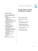 Strategic Alliances: Teaming and Allying for Advantage pdf