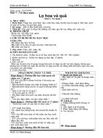 GIAO AN MI THUẠT 8 HKI HAY