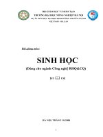 Bài giảng môn: SINH HỌC (Dùng cho ngành Công nghệ RHQ&CQ) docx