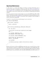 Developing Large Web Applications- P16 potx
