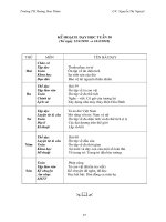 GIÁO ÁN 5 TUẦN 30 CKTKN