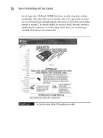 How to Do Everything With Your Scanner- P19 pot