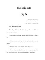 Giải phẫu mũi (Kỳ 3) pot