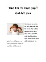Tính khí trẻ được quyết định bởi gien pptx