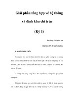 Giải phẫu tổng hợp về hệ thống và định khu chi trên (Kỳ 1) doc
