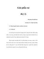 Giải phẫu tai (Kỳ 2) pdf