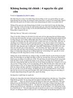 Khủng hoảng tài chính: 4 nguyên tắc giải cứu ppsx