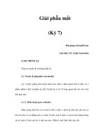 Giải phẫu mắt (Kỳ 7) potx