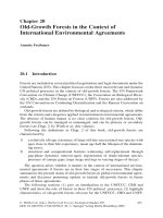 Springer Old Growth Forests - Chapter 20 ppt